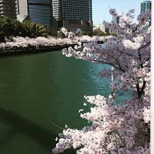 /MANKAI RED ZÖNE에 대한 이미지 검색결과