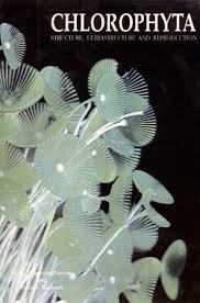 Attēlu rezultāti vaicājumam “Chlorophyta”