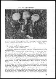 Attēlu rezultāti vaicājumam “Arcyria, Heterotrichia sp.”