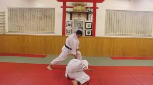 Image result for Taunton Karate Jutsu