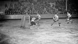 Image result for West Coast Wasps Skater Hockey Club