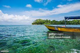 Image result for cahuita costa rica