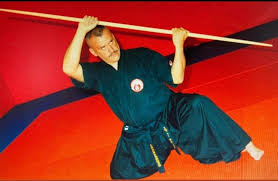 Image result for Kensei Karate Dojo