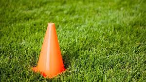 Image result for Newham Dockers RLFC