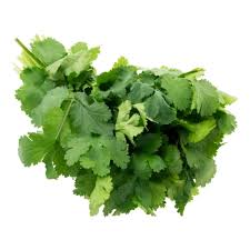 Image result for Koriander