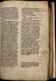 Attēlu rezultāti vaicājumam “Populus x lettland”