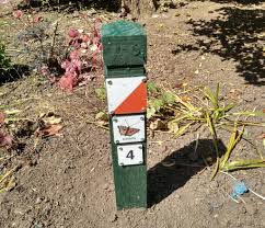 Image result for Solway Orienteers