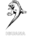 Iguana coloring page
