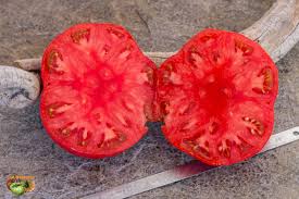 Afbeeldingsresultaat voor earl faux tomato