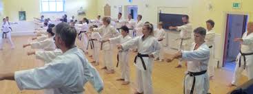 Image result for Backwell Karate