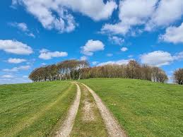 Image result for Mid Surrey Ramblers