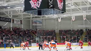 Image result for Cardiff Devils