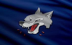 Image result for Sudbury Hockey Club