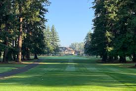 Image result for Bellingham Golf Club