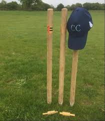 Image result for Groombridge Cricket Club