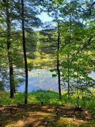 Image result for Epping Runners