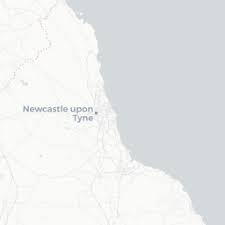 Attēlu rezultāti vaicājumam “Vibrissea decolorans”