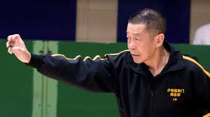 Image result for Shaolin Nam Pai Chuan Kung Fu - Manchester Martial Arts Centre