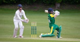 Image result for Bere Regis Cricket Club