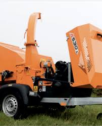 Image result for dipperfox tehron