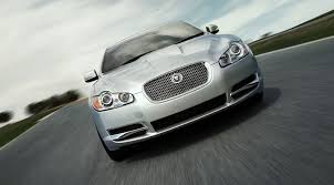 Image result for Silver Fox 2008 Jaguar