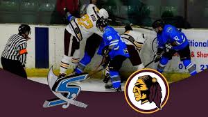 Image result for Sheffield Scimitars