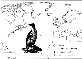Image result for Pinguinus impennis