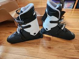 Image result for Eclipse Ski