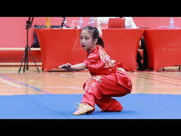 Image result for HAINAULT & CHIGWELL CHANGQUAN FLYING DRAGON