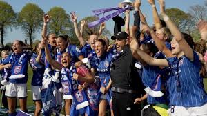 Image result for Ipswich Ladies Netball Club