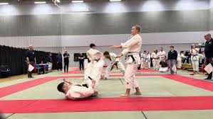 Image result for Tang Sou Dao Ren Yi Wu Kwan - Houghton & Wyton
