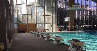 Image result for Coventry Swimming Club