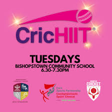 Image result for Cork County Cricket Club