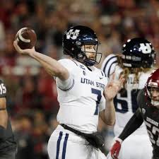 Image result for Ut Cougars