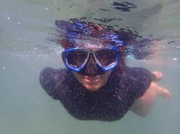 Image result for East Snorkellers