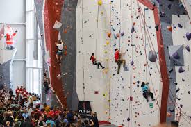 Image result for High Sports Climbing Wall