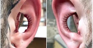 Image result for ear mod
