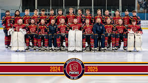 Image result for Phoenix Hockey Club (Essex)