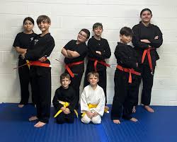 Image result for Rising Sun Judo Club