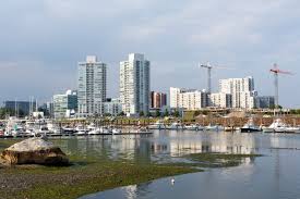 Image result for stamford cc