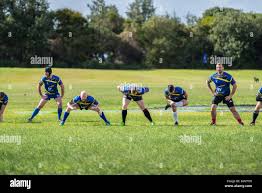 Image result for Bingham Rugby Union Football Club