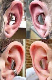 Image result for ear mod
