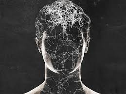 Image result for seotonie