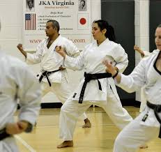 Image result for Burnham Karate Club