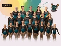 Image result for stonehaven gymnastics club