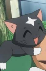 「ソニア・シャフルナーズ ハヤテのごとく!」の画像検索結果