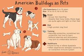 Image result for Bulldogs Power and strength