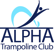 Image result for Abbey Flyers Trampoline Club