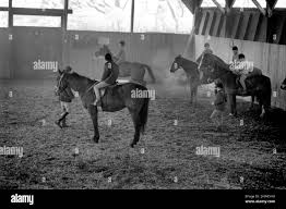 Image result for Bookham Riding School