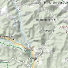 Attēlu rezultāti vaicājumam “Didea alneti”